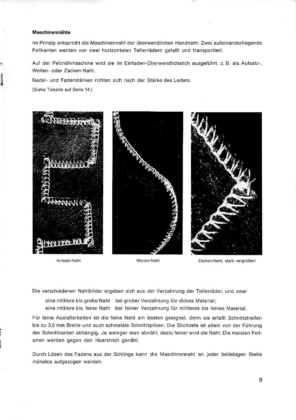 Die Bedeutung von Sonnenlicht und Bewässerung