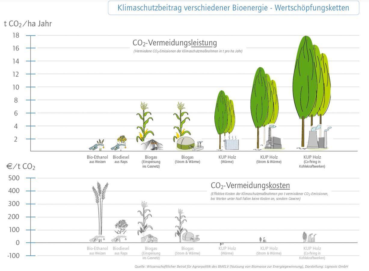 - Effektive‌ Bewässerungsmethoden für ‍eine erfolgreiche Trockengartenlandschaft